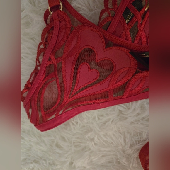 Honey Birdette Red Heart Set 38D - Picture 8 of 11